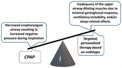 Translation of obstructive sleep apnea pathophysiology and phenotypes to personalized treatment: a narrative review
